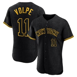 Anthony Volpe Men's New York Yankees Black Authentic Snake Skin City Jersey