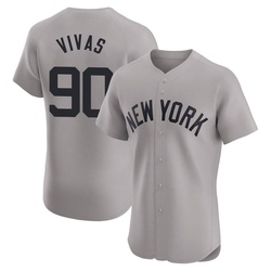 Jorbit Vivas Men's New York Yankees Gray Elite Road Jersey