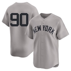 Jorbit Vivas Youth New York Yankees Gray Limited Away 2nd Jersey