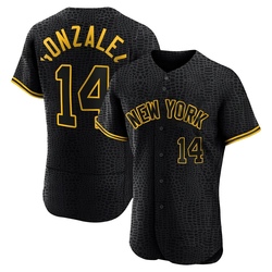 Marwin Gonzalez Men's New York Yankees Black Authentic Snake Skin City Jersey