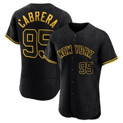 Oswaldo Cabrera Men's New York Yankees Black Authentic Snake Skin City Jersey