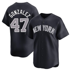 Victor Gonzalez Youth New York Yankees Navy Limited Alternate Jersey